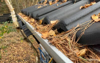 Undgå dyre skader – Derfor skal tagrenderne renses